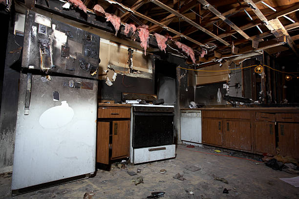 Licensed Fire Damage Repair service in Paeonian Springs, VA - Fire Damage Flint
